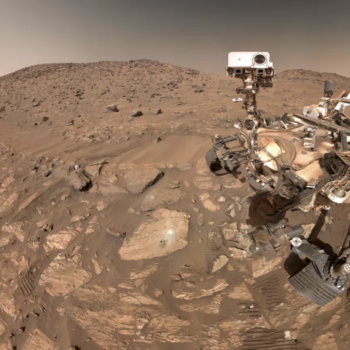 Daily Dive # 117 | Did the Perseverance Rover Just Find Evidence of Past Life on Mars?